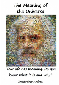 The Meaning of the Universe