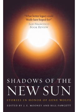 Shadows Of The New Sun