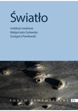 Światło Przyczynek do badań interdyscyplinarnych
