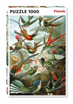 Puzzle 1000 - Haeckel, Kolibry PIATNIK