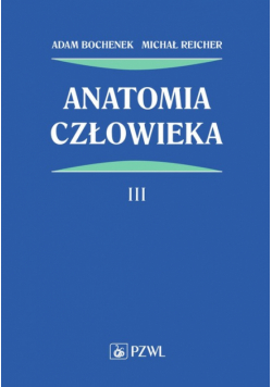 Anatomia człowieka