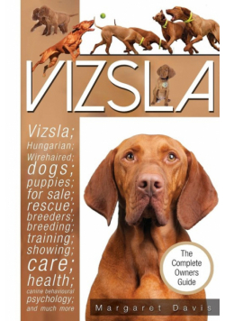 Vizsla