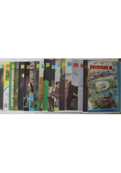 Płomyk Nr 1 do 18 / 89