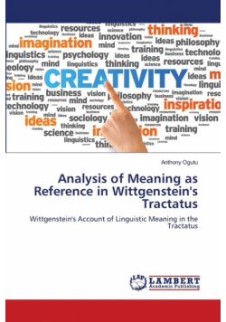 Analysis of Meaning as Reference in Wittgenstein's Tractatus