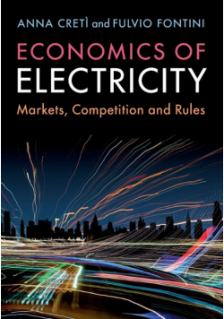Economics of Electricity