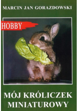 Mój króliczek miniaturowy w.2017