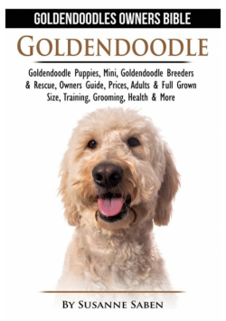 Goldendoodle