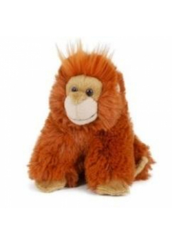 Orangutan 13cm