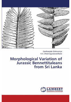 Morphological Variation of Jurassic Bennettitaleans from Sri Lanka