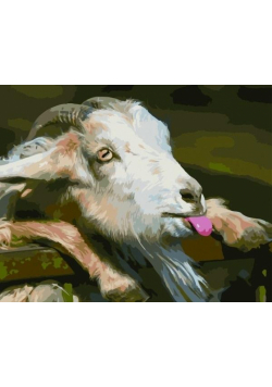 Malowanie po numerach - Koza 30x40 rama