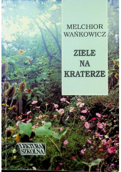 Ziele na kraterze