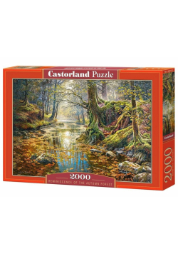 Puzzle 2000 Wspomnienie z jesiennego lasu CASTOR