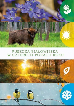 Puszcza białowieska w czterech porach roku