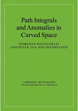 Path Integrals and Anomalies in Curved Space