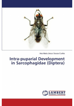Intra-puparial Development in Sarcophagidae (Diptera)
