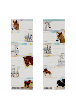 Naklejki na zeszyt Horses 1 (25szt)