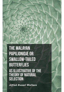 The Malayan Papilionidæ or Swallow-tailed Butterflies, as Illustrative of the Theory of Natural Selection