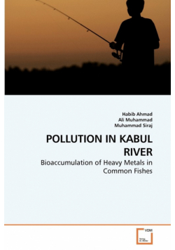 Pollution In Kabul River