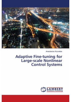 Adaptive Fine-tuning for Large-scale Nonlinear Control Systems