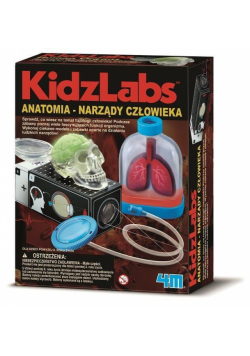 Anatomia - Narządy człowieka 4M