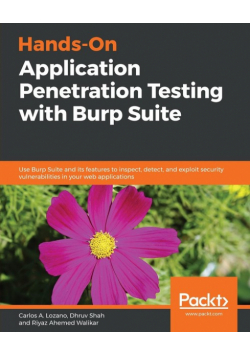 Hands-On Application Penetration Testing with Burp Suite