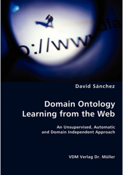 Domain Ontology Learning from the Web