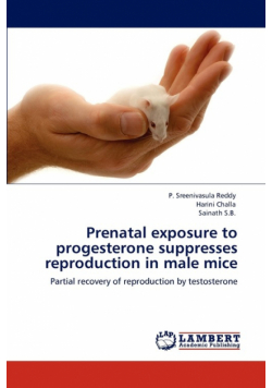 Prenatal exposure to progesterone suppresses reproduction in male mice
