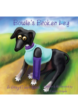 Bowie's Broken Leg