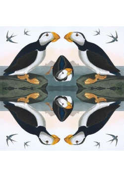 Karnet kwadrat z kopertą Horned Puffin