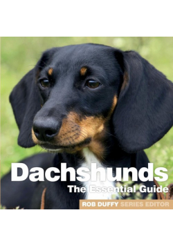 Dachshunds
