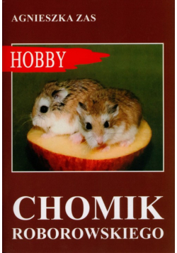 Chomik Roborowskiego