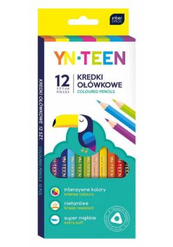 Kredki ołówkowe trójkątne 12 kolorów YN