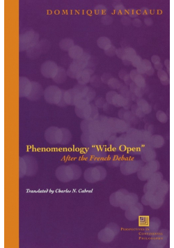 Phenomenology Wide Open