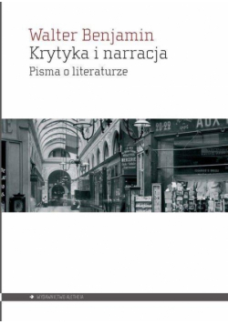 Krytyka i narracja. Pisma o literaturze