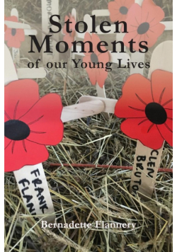 Stolen Moments of Our Young Lives