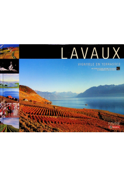 Lavaux vignoble en Terrasses