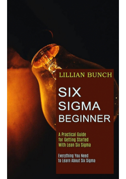 Six Sigma Beginner
