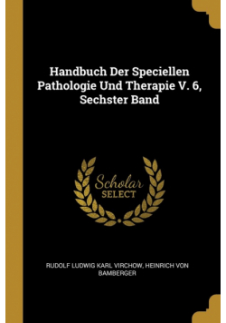Handbuch Der Speciellen Pathologie Und Therapie V. 6, Sechster Band