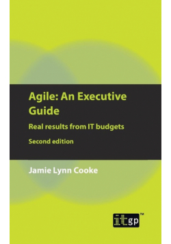 Agile An Executive Guide, second edition