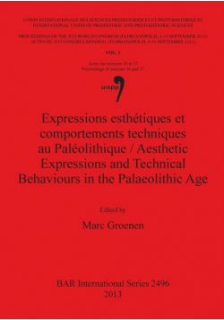 Expressions esthétiques et comportements techniques au Paléolithique / Aesthetic Expressions and Technical Behaviours in the Palaeolithic Age