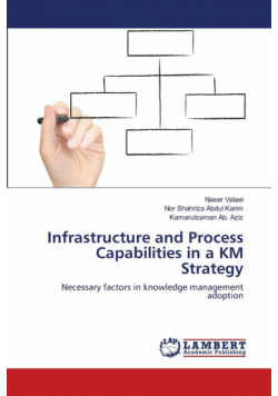 Infrastructure and Process Capabilities in a KM Strategy
