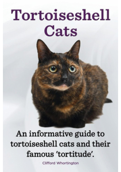 Tortoiseshell Cats. an Informative Guide to Tortoiseshell Cats and Their Famous 'Tortitude'.