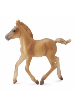Źrębie haflinger spacerujące