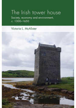 The Irish tower house
