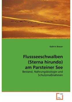 Flussseeschwalben (Sterna hirundo) am Parsteiner See