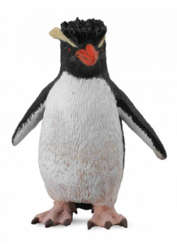 Pingwin rockhopper