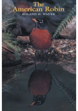 The American Robin