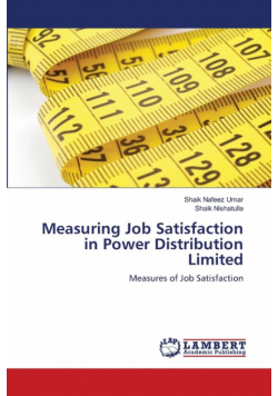 Measuring Job Satisfaction in Power Distribution Limited