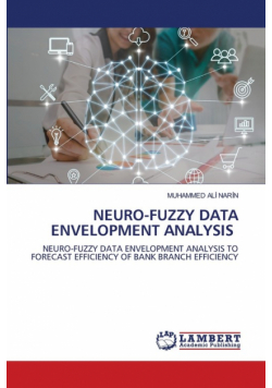 Neuro-Fuzzy Data Envelopment Analysis