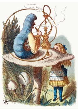 Karnet B6 z kopertą Alice Meets the Blue Caterpill